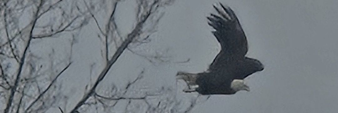 KendelZach's profile banner image