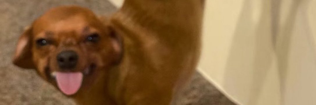 emeraldchachki's profile banner image