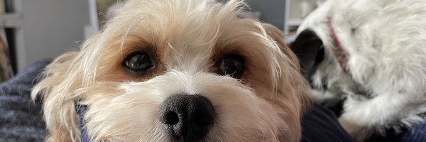Beth_Autistic Profile Banner