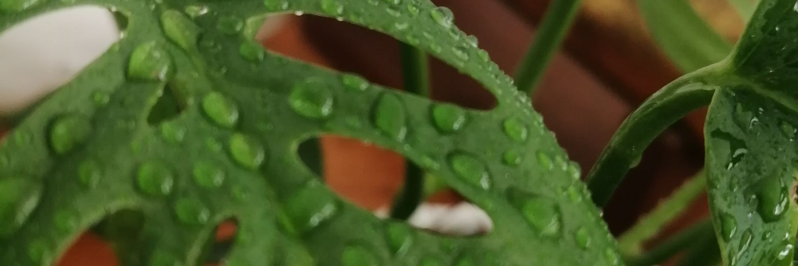 Hey_Chee's profile banner image