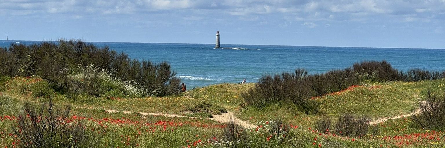 Littlenemo 🇺🇦🇪🇺 banner