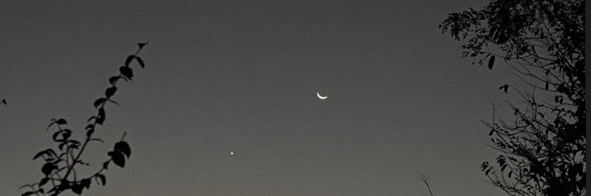 anasim14's profile banner image