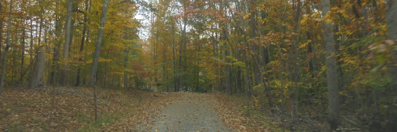 EverythVirginia's profile banner image