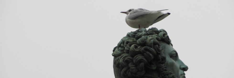 _wtpon's profile banner image