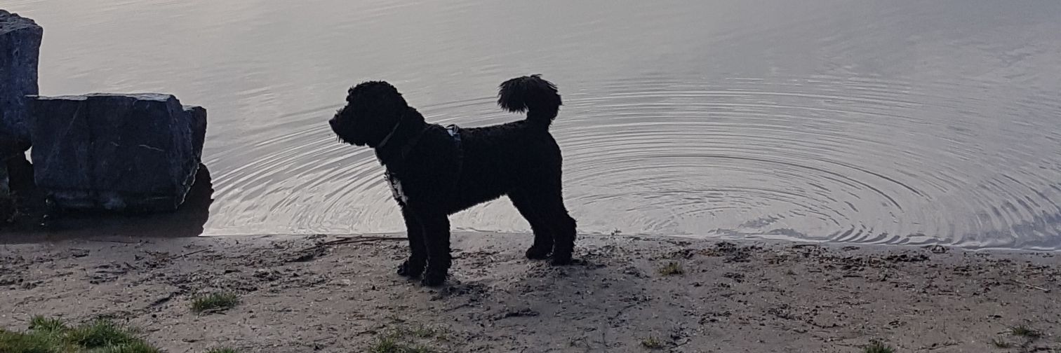 GetzjeZ's profile banner image