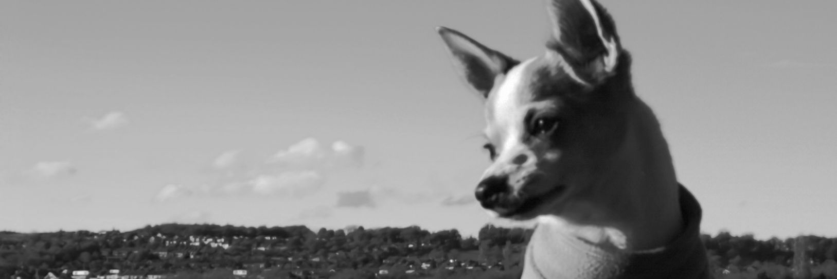 AndyyHaigh's profile banner image