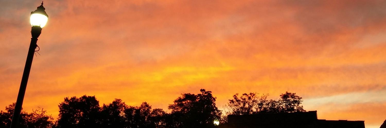 LynneaHunter's profile banner image