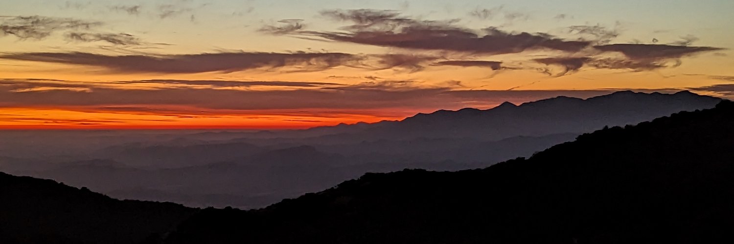 paralinq's profile banner image