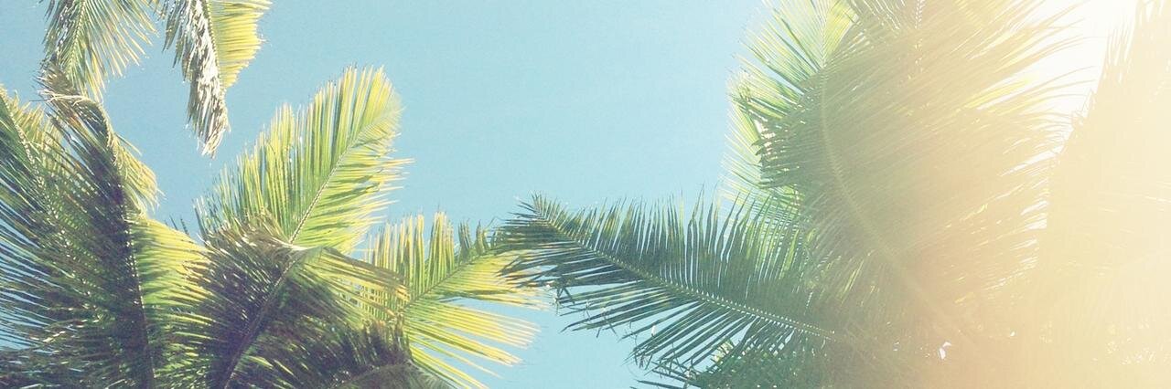 loxxye's profile banner image