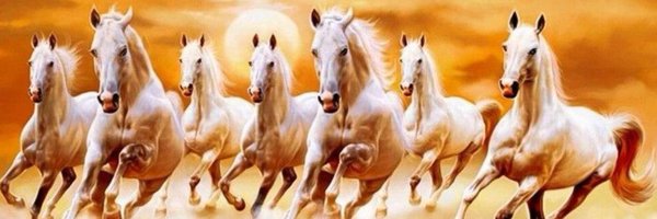 Shree_Parn Profile Banner