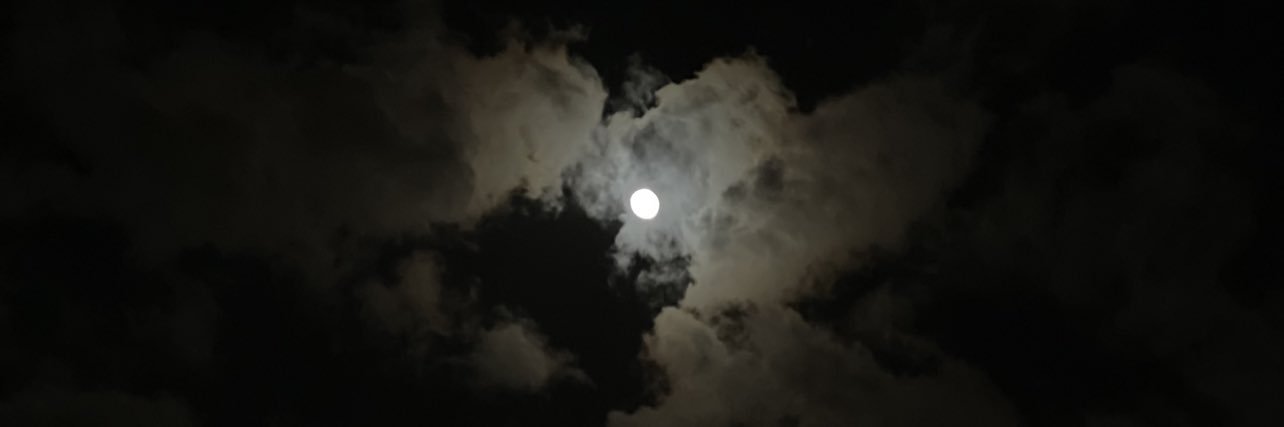 danah3x's profile banner image