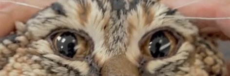 1eR3n's profile banner image