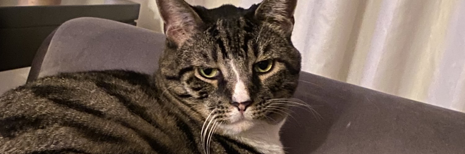 judebetch's profile banner image