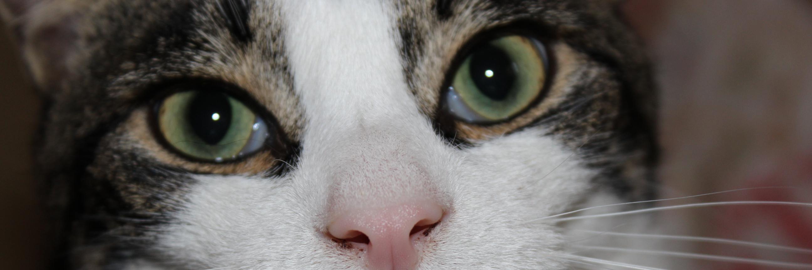 Ugh_tC's profile banner image