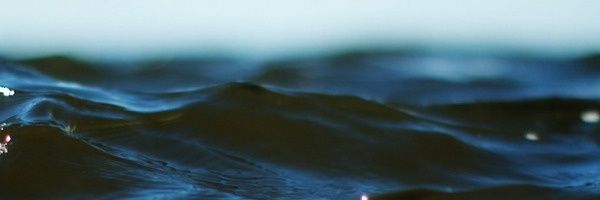kovalaantonina's profile banner image