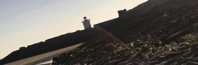Marie Gower banner