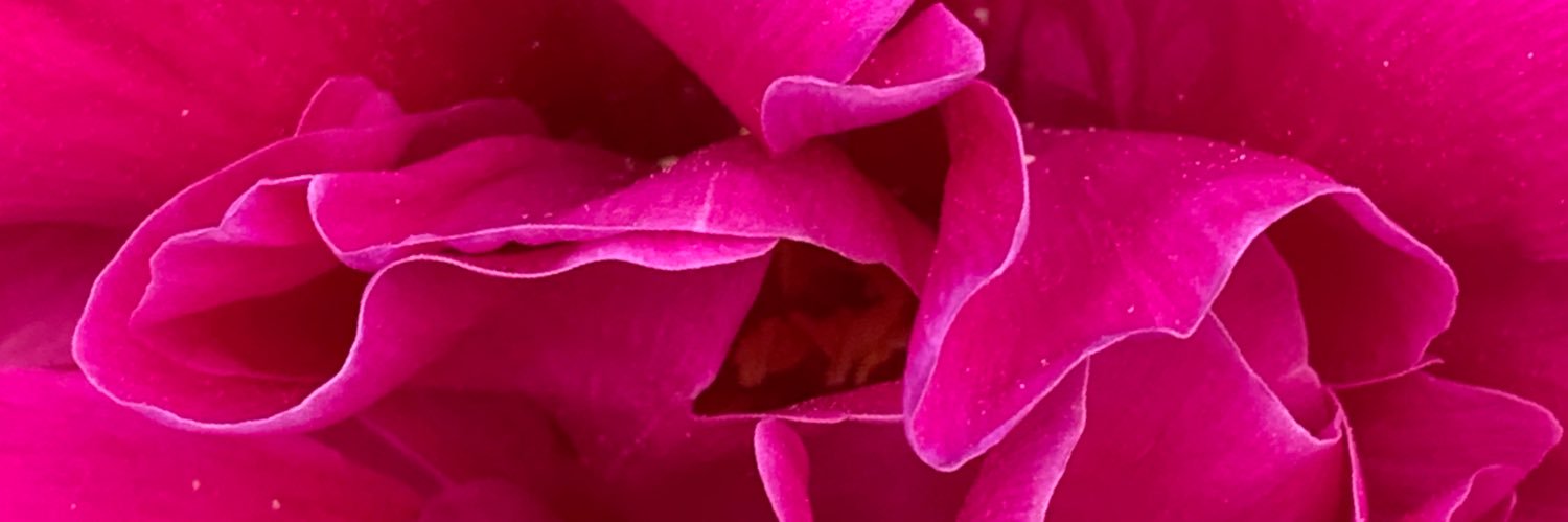 VilmaPacheco's profile banner image