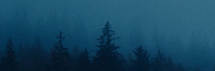 Cobajawi's profile banner image