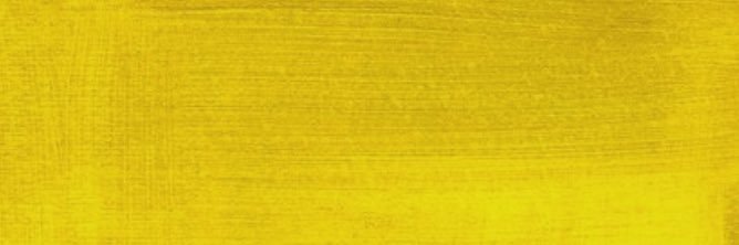 rochellajans's profile banner image