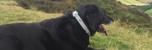 alibrownlee Profile Banner