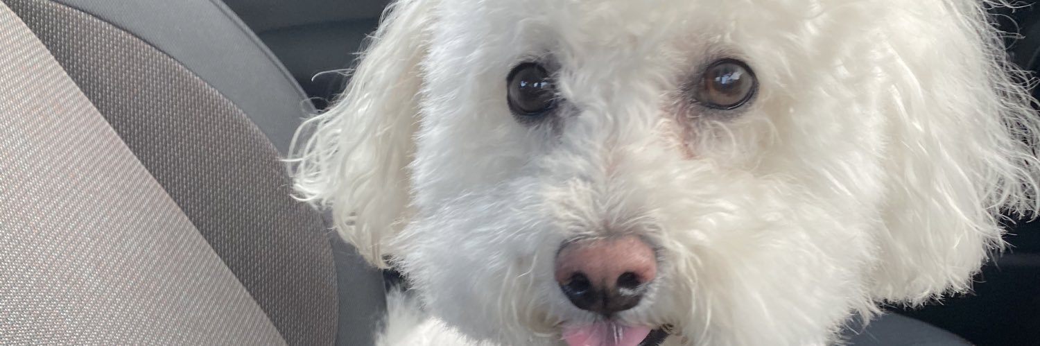 _Erinquinnn's profile banner image