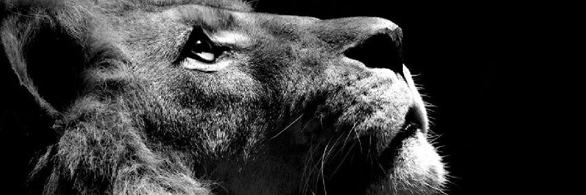 xtitofernanx's profile banner image