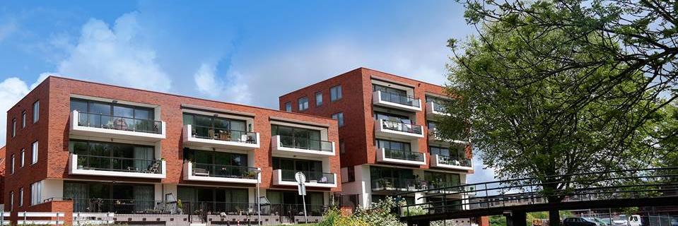 Spieghelbuurt's profile banner image