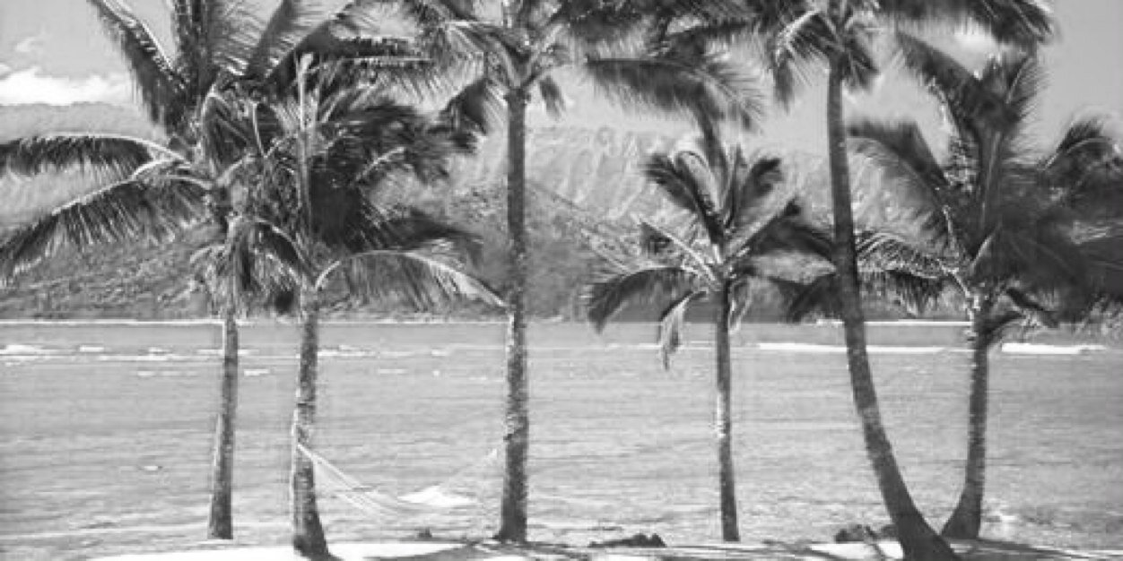JamesNicholsEA's profile banner image