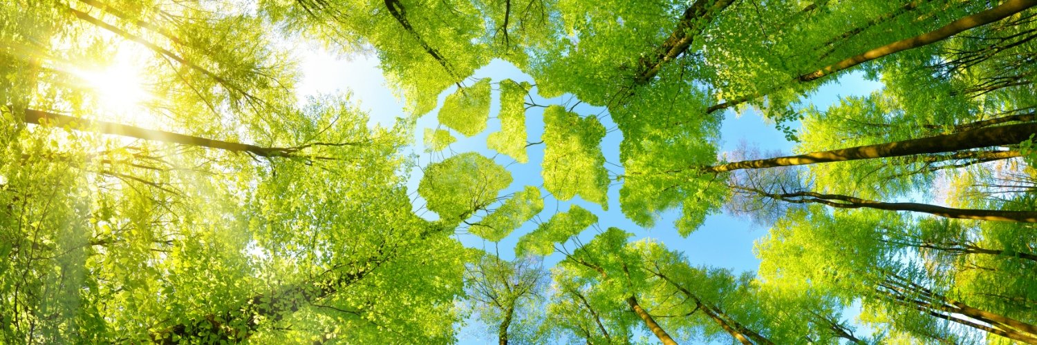 SpencersNForest's profile banner image