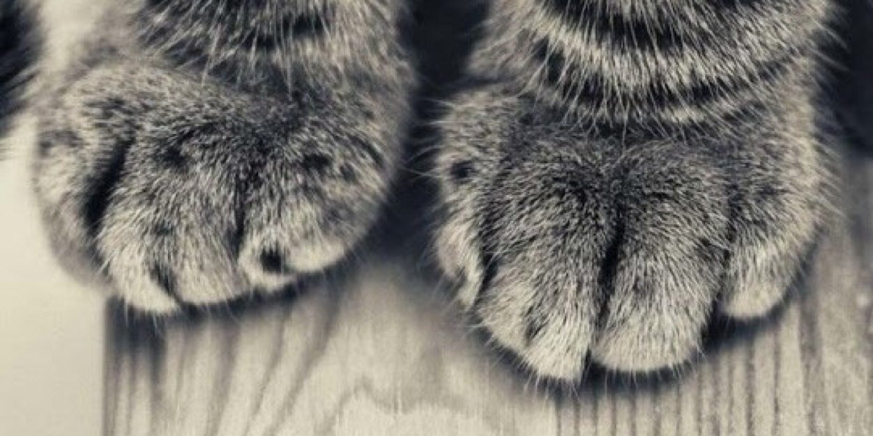 M💗 banner