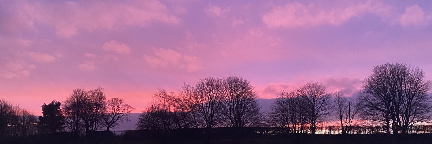 MikeySaynor's profile banner image
