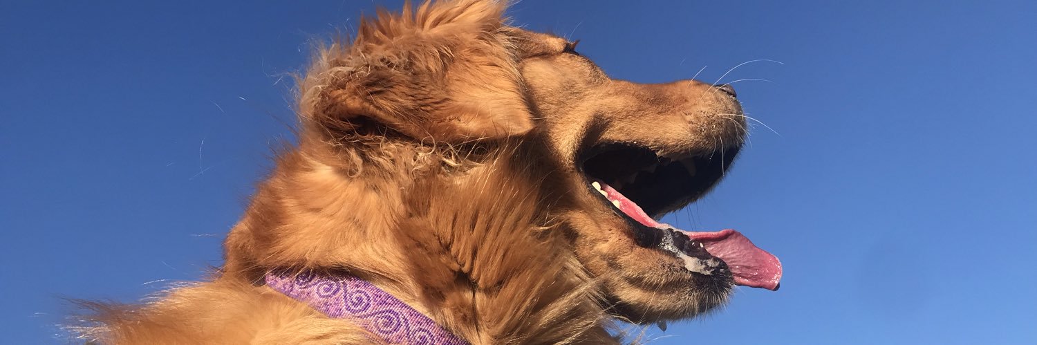 juleswork_'s profile banner image