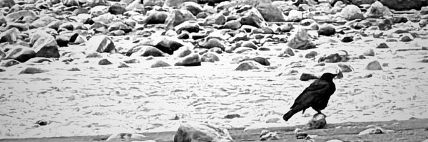 FLYARTDUDE Profile Banner