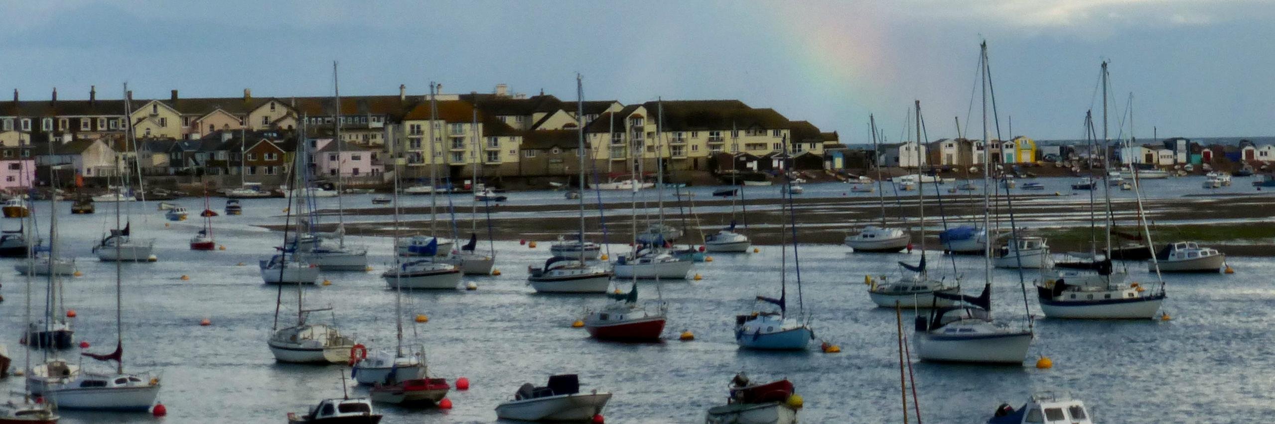 South Devon Business banner