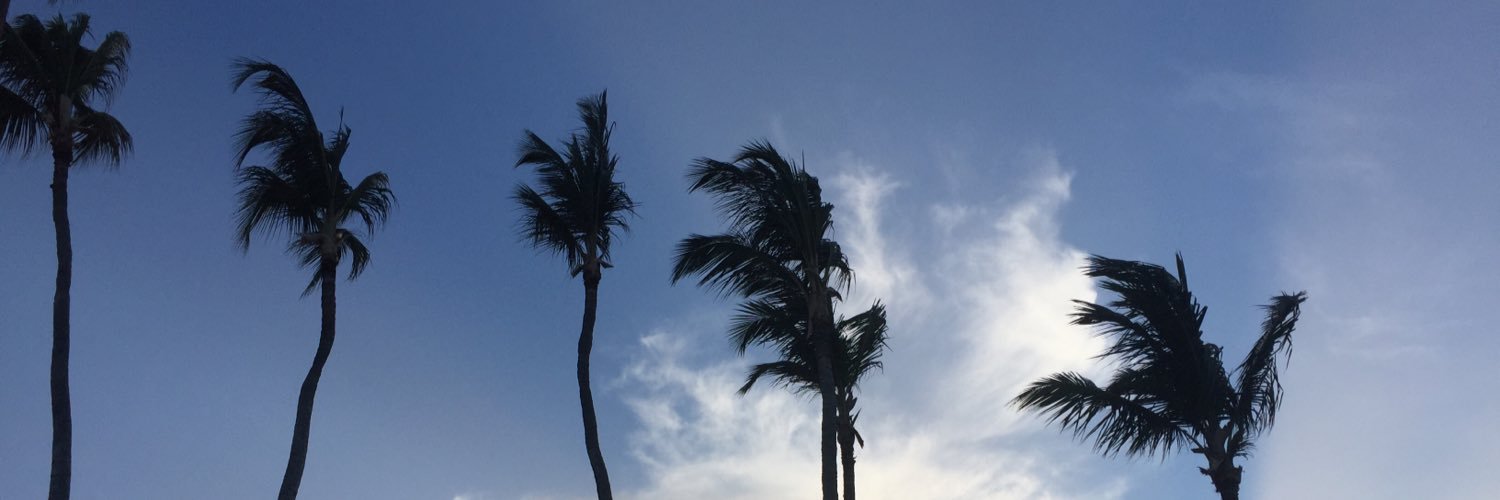 sabhendricks's profile banner image