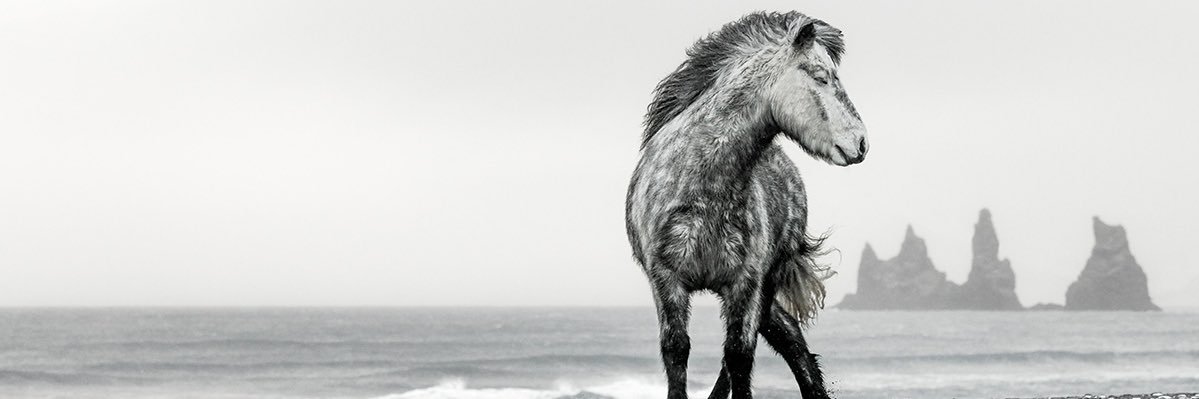 Davíð Snær Jónsson banner