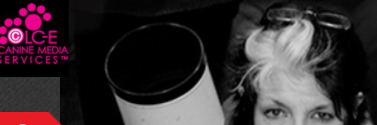 caninemedia's profile banner image