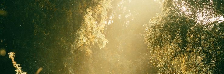 chabibunny's profile banner image