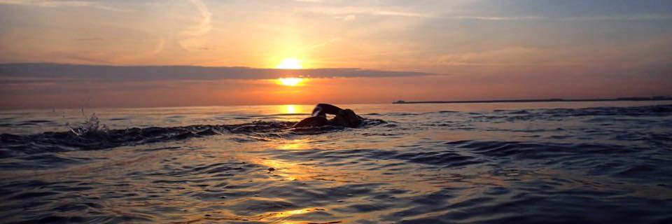 Gemma Sangines banner