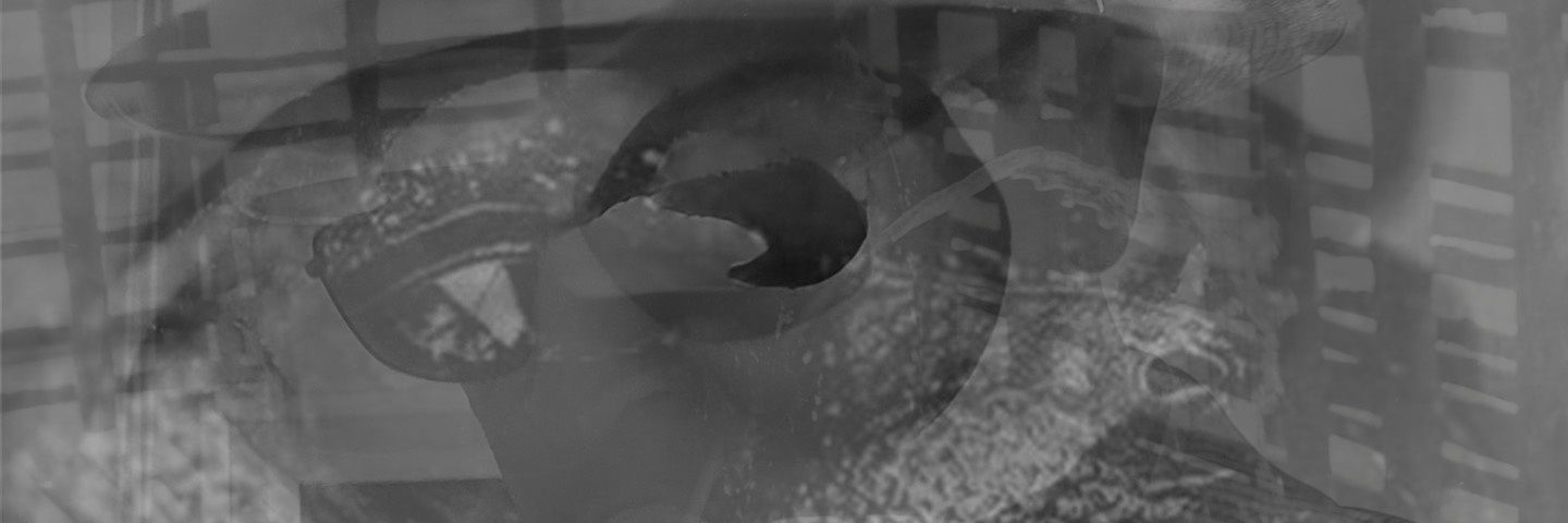 Misanfrog🖤🤡🌎 banner