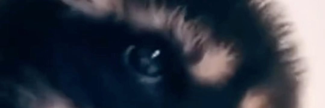 Mark_Vinic's profile banner image