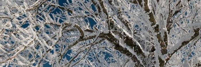 ivegotnoroooots's profile banner image
