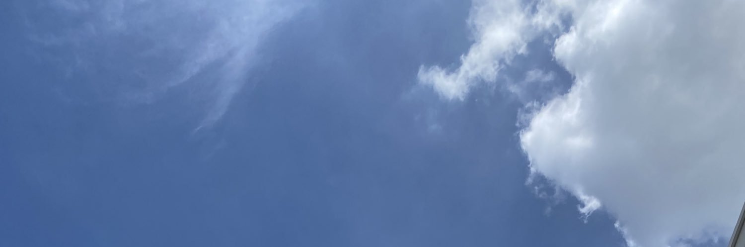 Octavia Maya Q. banner