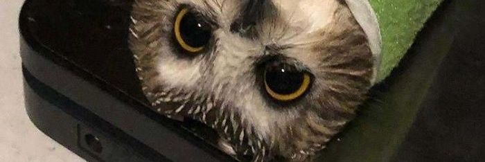 ratchan24774811's profile banner image