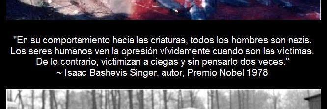 ddiositoo's profile banner image