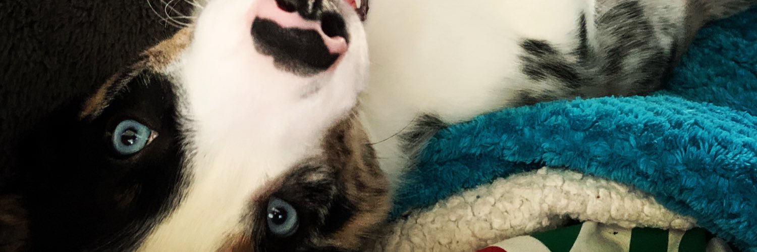 JonelleBell5's profile banner image