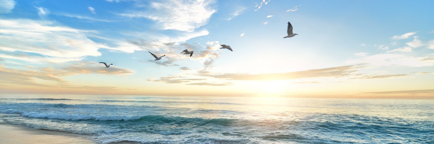 Patricia Philbin banner