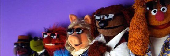 stackthefrogz's profile banner image