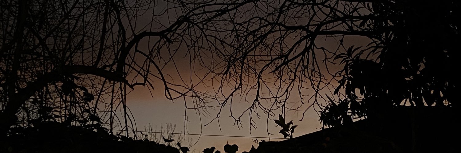 martiibrigantee's profile banner image