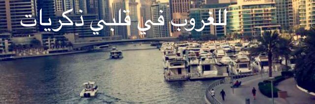 alsarab_2000's profile banner image